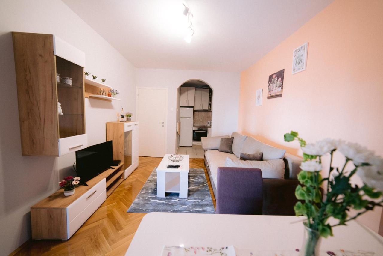 Lipa * Novi Sad